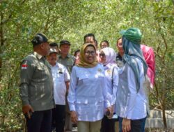 Hilirisasi Produk Mangrove sebagai Solusi untuk Meningkatkan Ekonomi dan Gizi Masyarakat