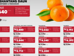 Jeruk Shantang Daun Hemat di Transmart Hanya Rp 4.550