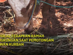 Istiqlal Terapkan Ramah Lingkungan Saat Pemotongan Hewan Kurban