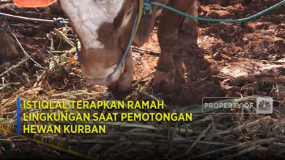 Istiqlal Terapkan Ramah Lingkungan Saat Pemotongan Hewan Kurban