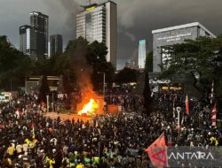 5 Persiapan Penting Sebelum Membuat Demo Produk: Tips dari Ahli SEO