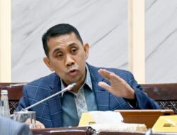 Skenario Pengurangan Defisit dan Utang Negara: Langkah Kamrussamad